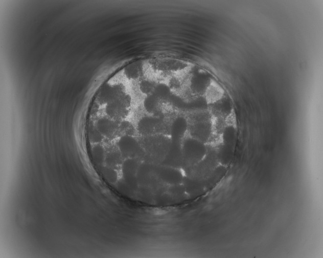 X0000086920241200705141728