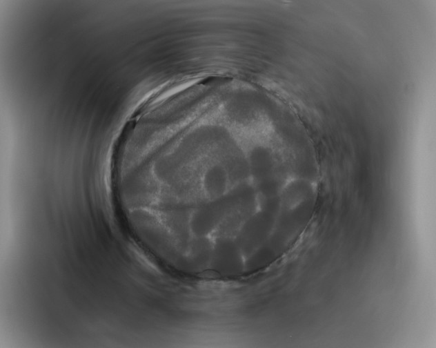 X0000086920242200705141728