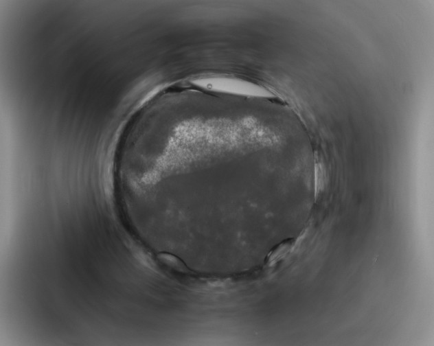 X0000086920243200705141728