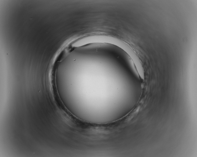 X0000086920244200705141728