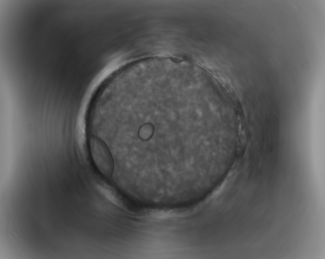 X0000086920246200705141728