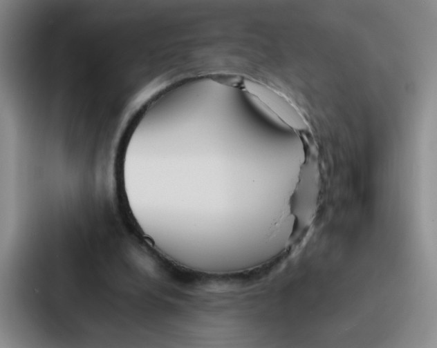 X0000086920248200705141728