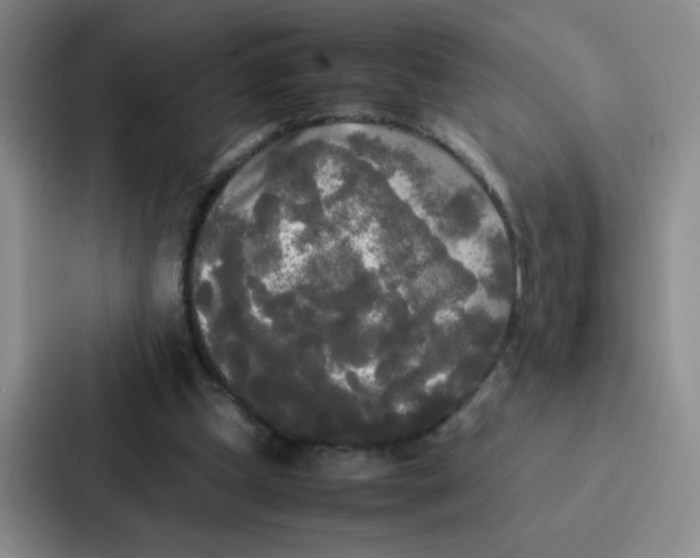 X0000086920249200705141728