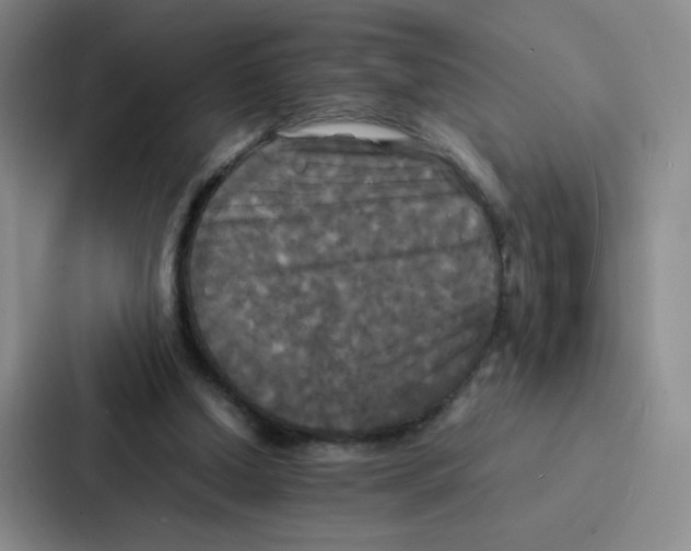 X0000086920250200705141728