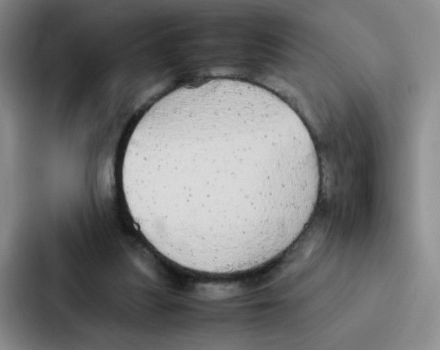 X0000086920251200705141728