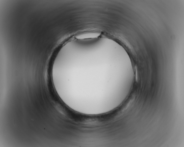 X0000086920252200705141728