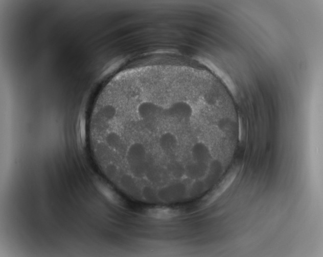 X0000086920253200705141728