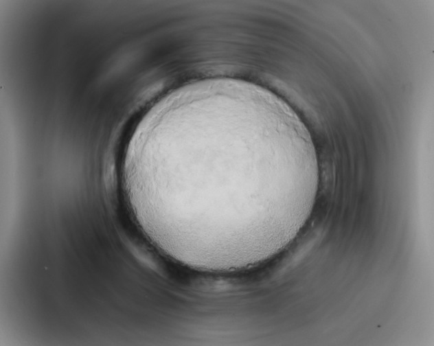 X0000086920254200705141728