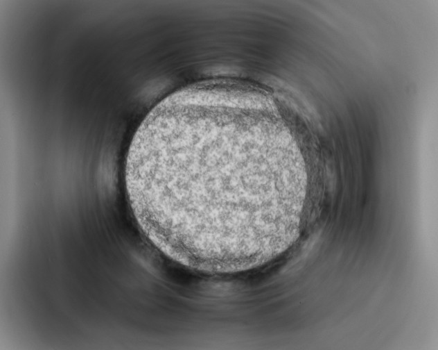 X0000086920255200705141728