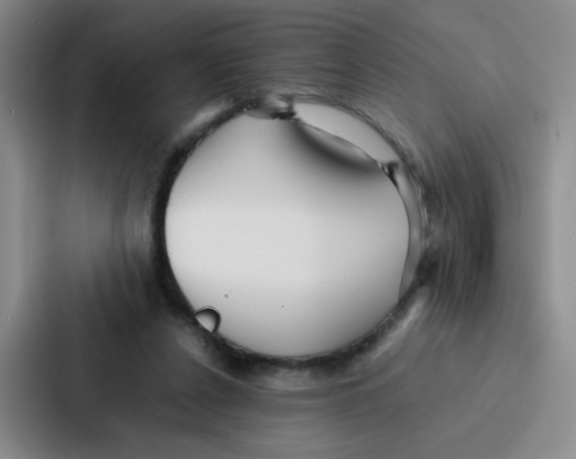 X0000086920256200705141728