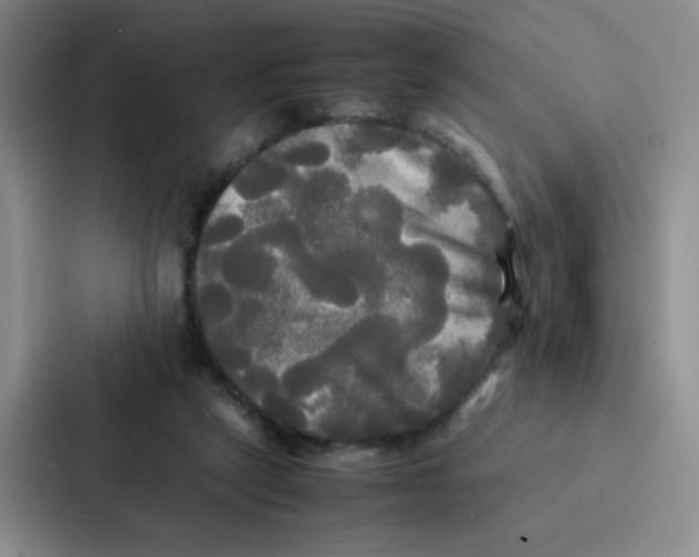 X0000086920257200705141728