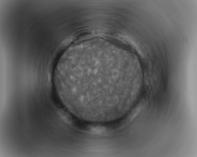 X0000086920258200705141728