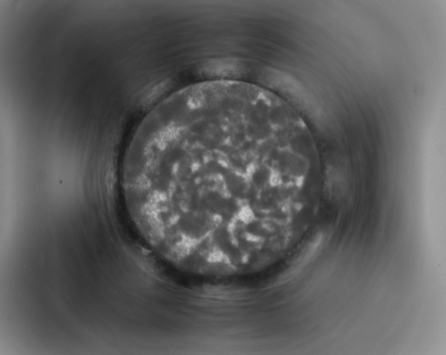 X0000086920259200705141728