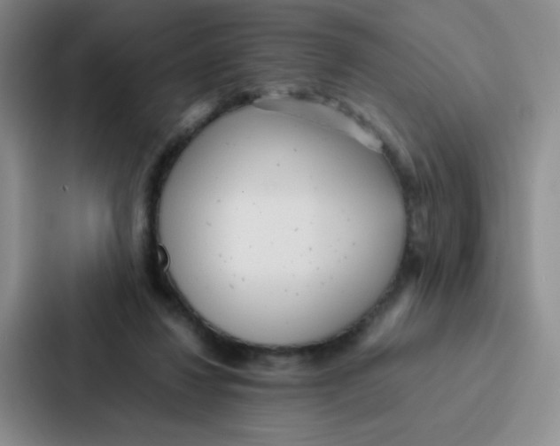 X0000086920260200705141728