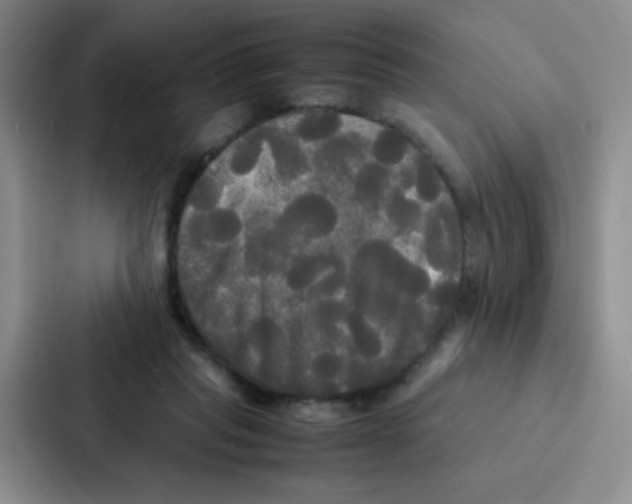 X0000086920261200705141728