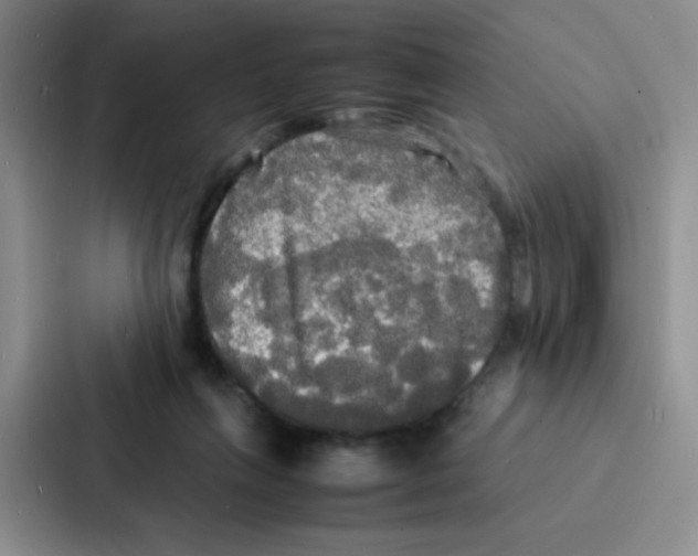 X0000086920263200705141728