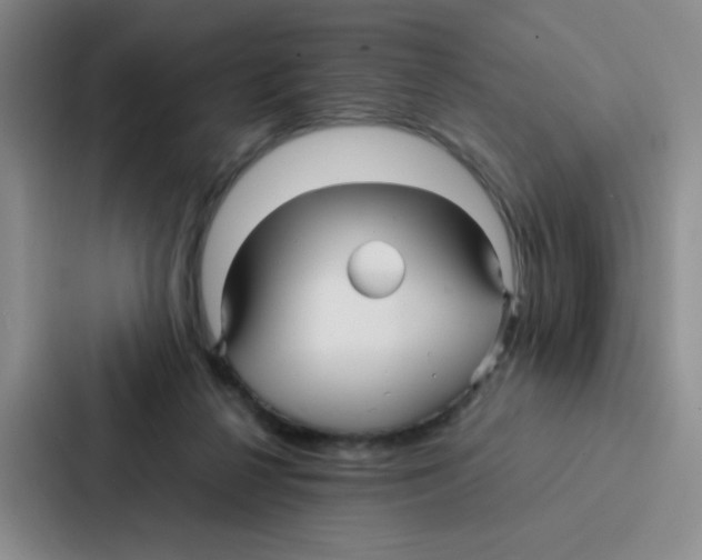 X0000086920264200705141728
