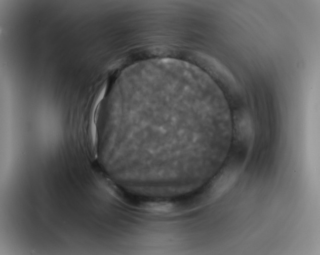 X0000086920266200705141728