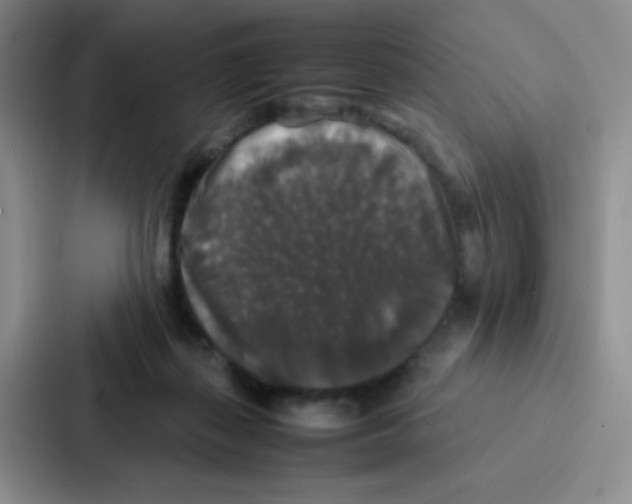 X0000086920267200705141728