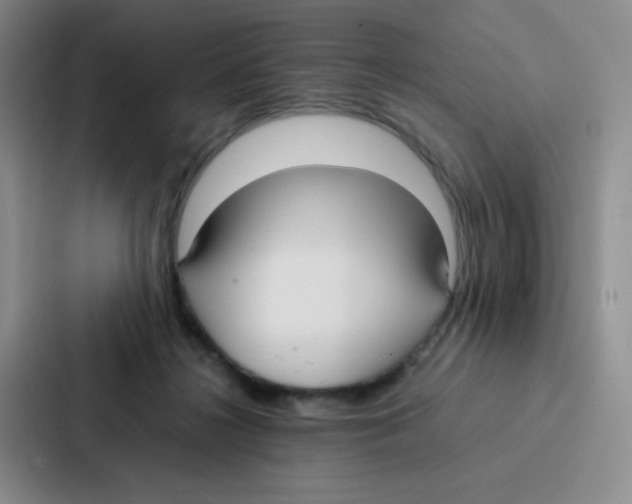 X0000086920268200705141728