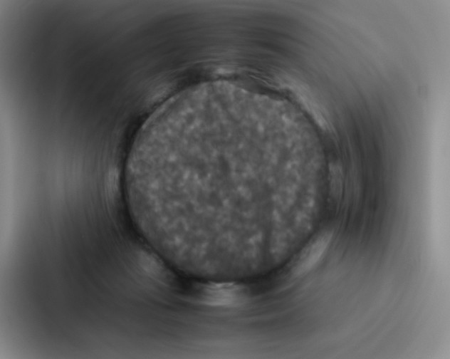 X0000086920269200705141728