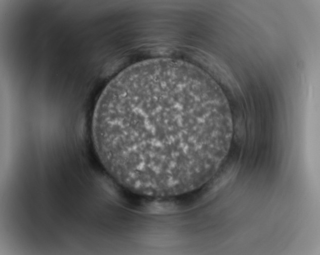 X0000086920270200705141728