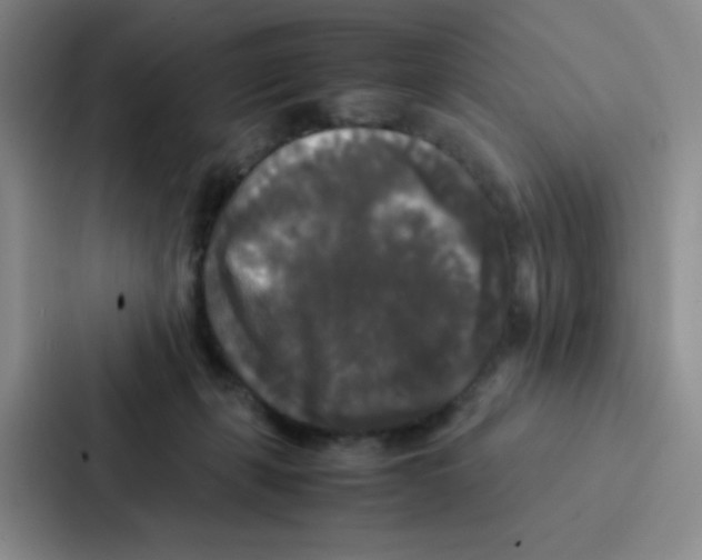 X0000086920271200705141728