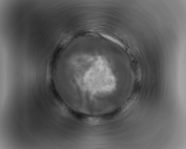X0000086920272200705141728