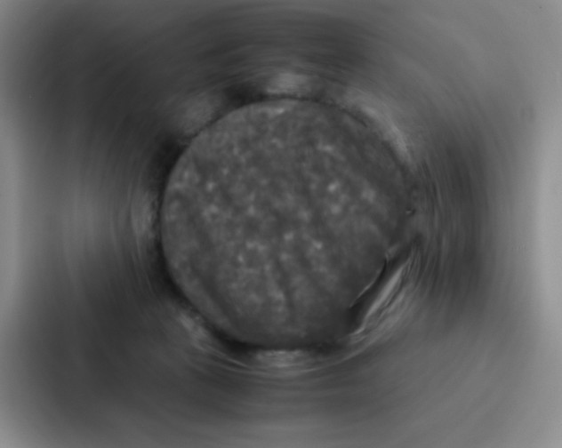 X0000086920273200705141728