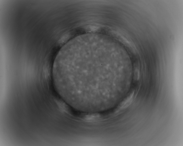 X0000086920274200705141728