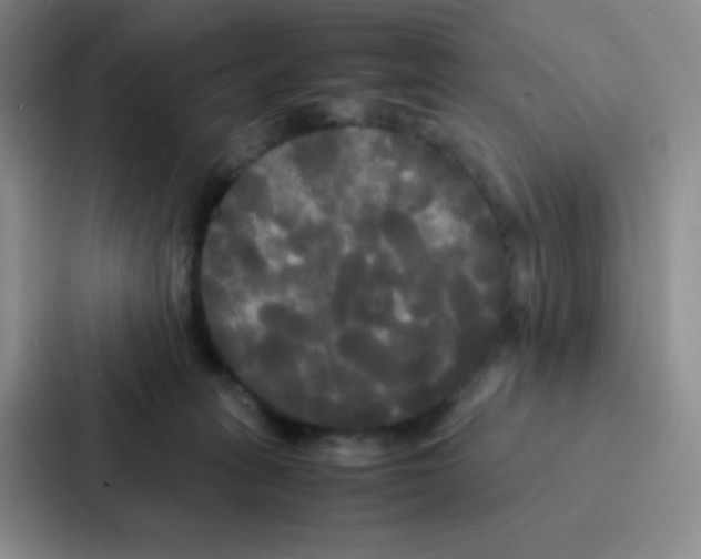 X0000086920275200705141728