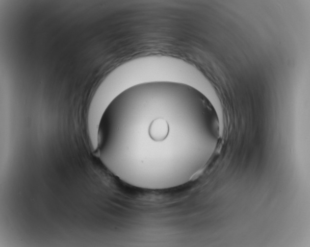 X0000086920276200705141728