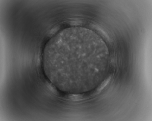 X0000086920277200705141728