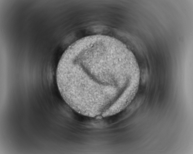 X0000086920279200705141728