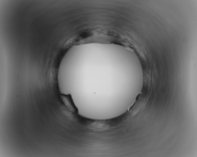 X0000086920280200705141728