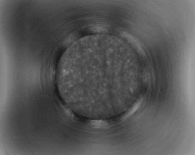 X0000086920281200705141728