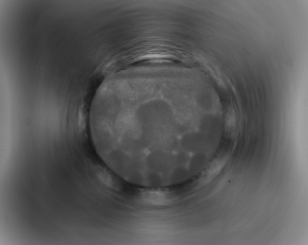 X0000086920282200705141728