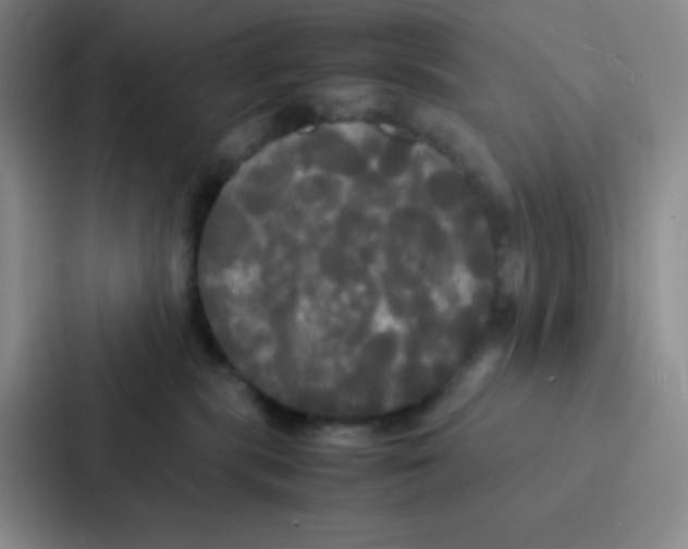 X0000086920283200705141728