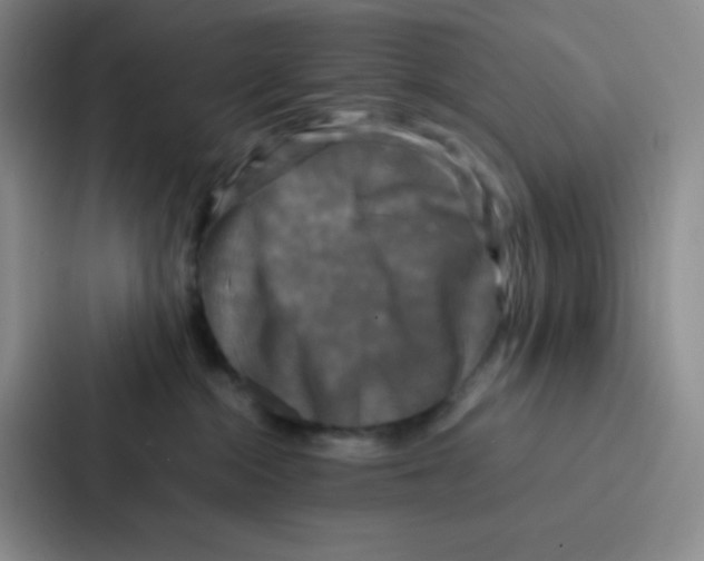 X0000086920284200705141728