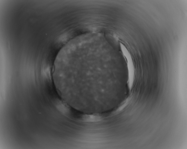 X0000086920286200705141728