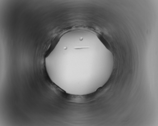 X0000086920288200705141728