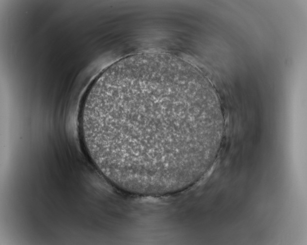 X0000086920290200705141728