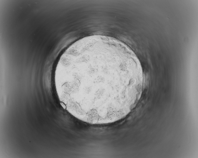 X0000086920291200705141728