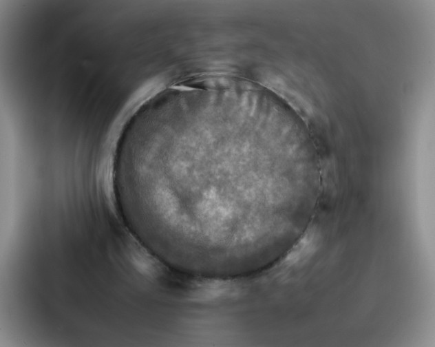 X0000086920293200705141728