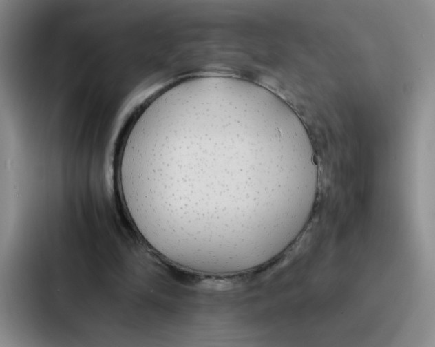 X0000086920294200705141728