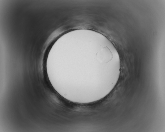 X0000086920296200705141728