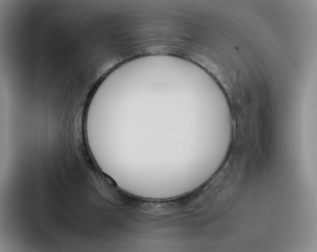 X0000086920297200705141728
