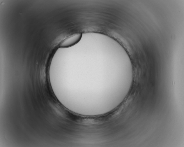 X0000086920298200705141728