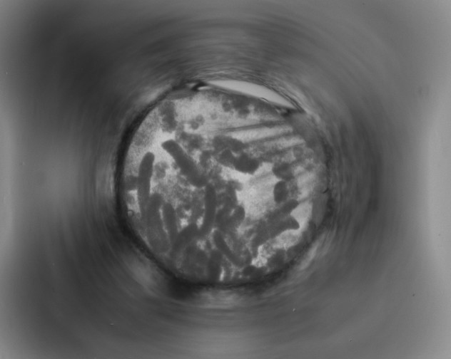 X0000086920299200705141728