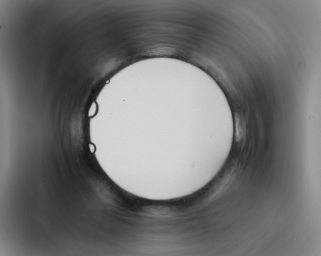 X0000086920300200705141728